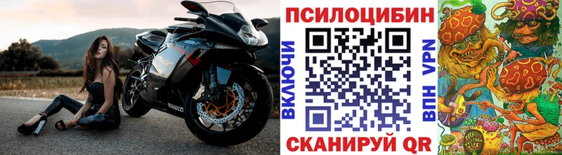 блэк спрут вход  это как зайти  Галлюциногенные грибы Cubensis  Туран 